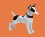 Ensemble collier anti parasite complet pour chien