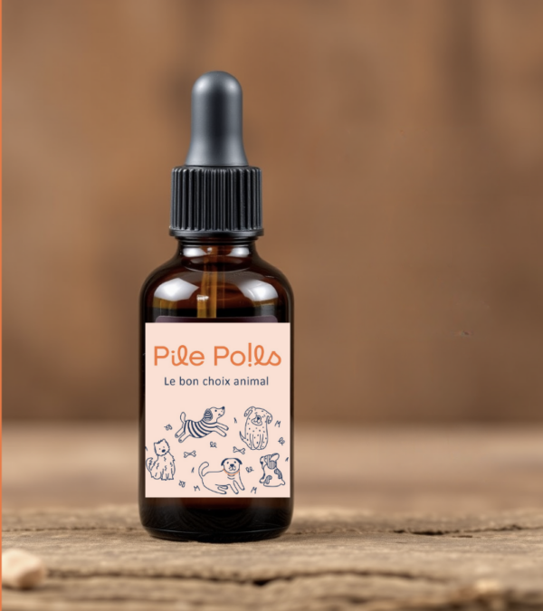 Fiole d’huiles essentielles anti parasites pour chien