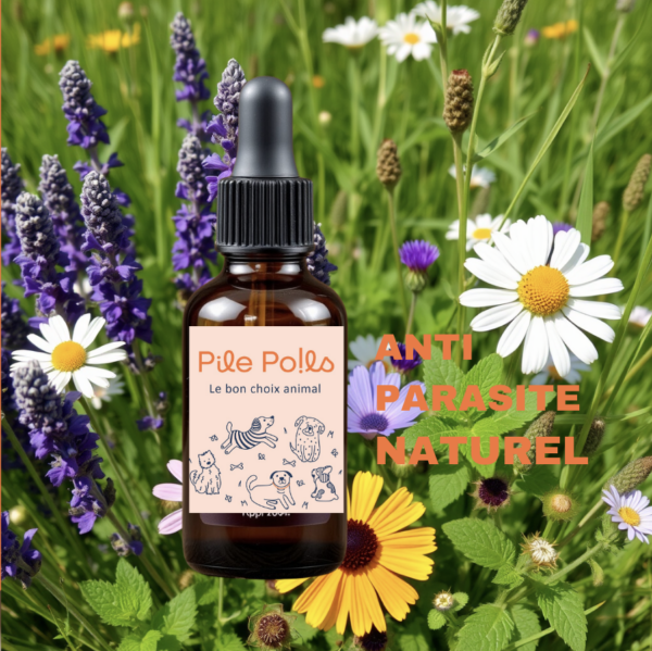 Fiole d’huiles essentielles anti parasites pour chien
