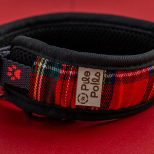 Collier anti parasite 2 en 1 - notre solution innovante , naturelle, bio et complète pour chien